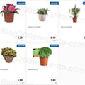 01 Promoções-Descontos-40597.jpg